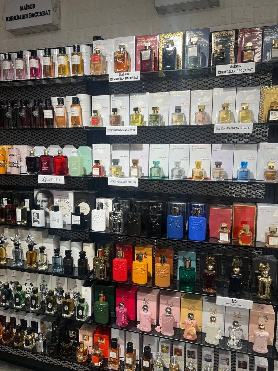 Cologne Supplier & Guide