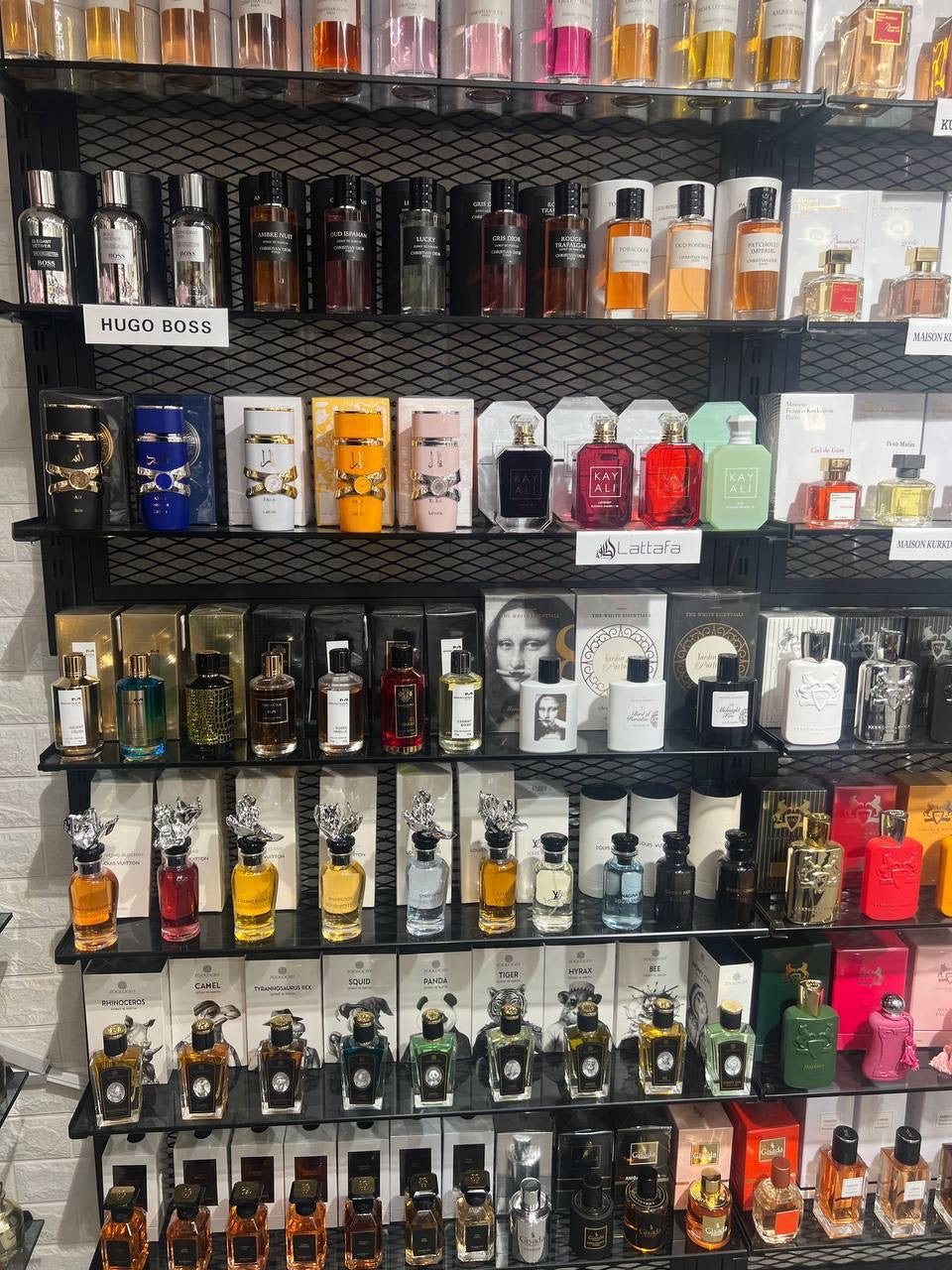 Cologne Supplier & Guide