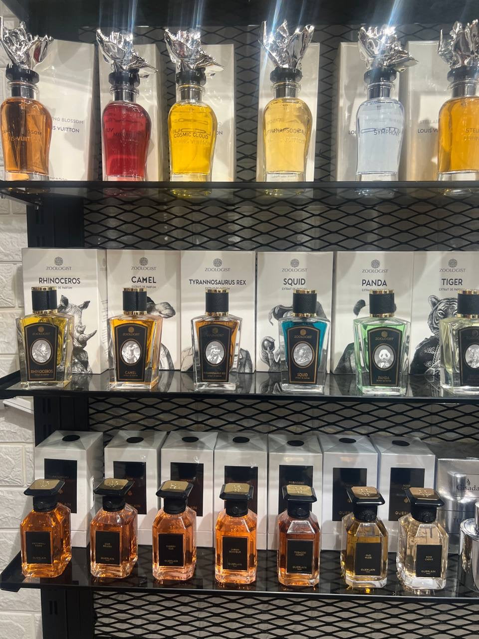 Cologne Supplier & Guide